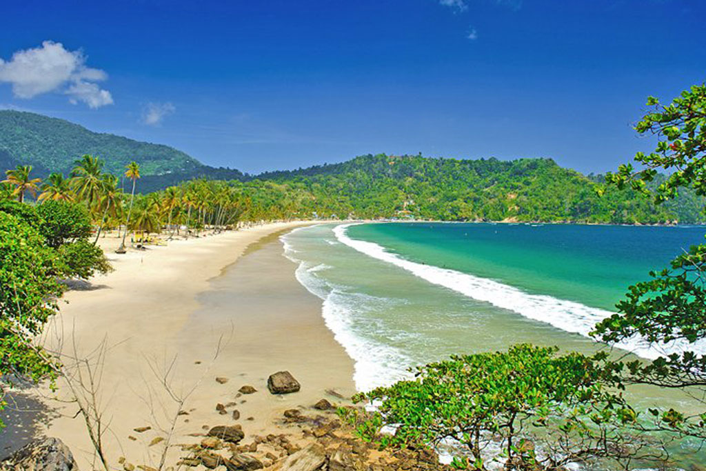 Best Indian Astrologer in USA